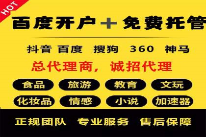 SEM推广策略：成功案例解析与效果评估