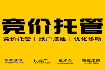 竞价SEM与社交媒体结合的营销案例研究